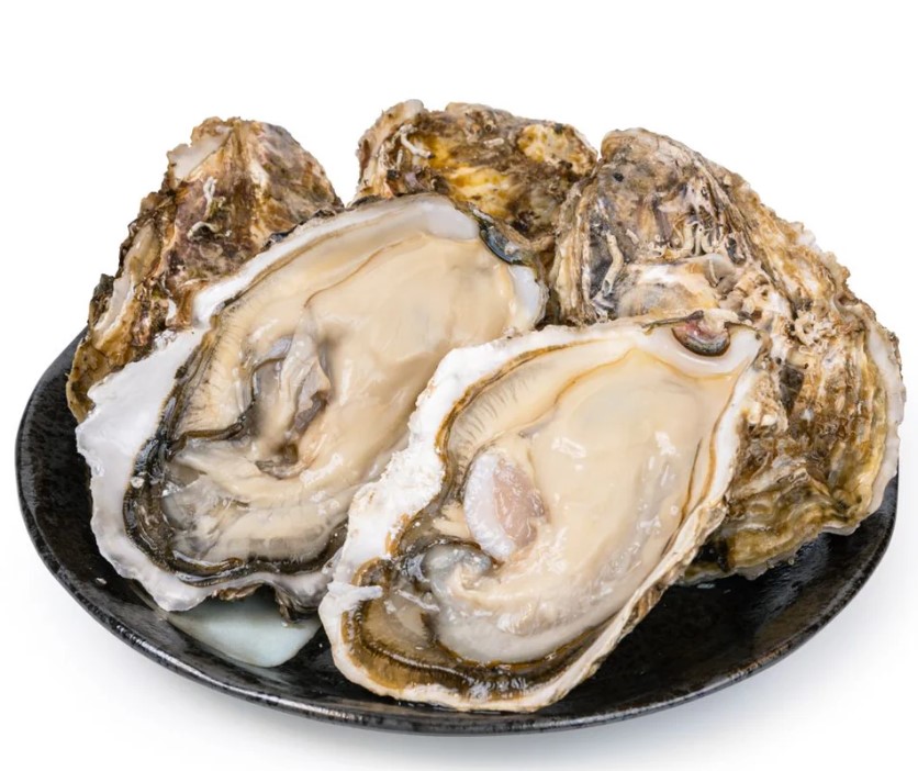 雪解け牡蠣 ハチイチ商店　広田湾